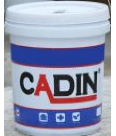 Sơn Epoxy CaDin Phủ Màu Thường 1kg